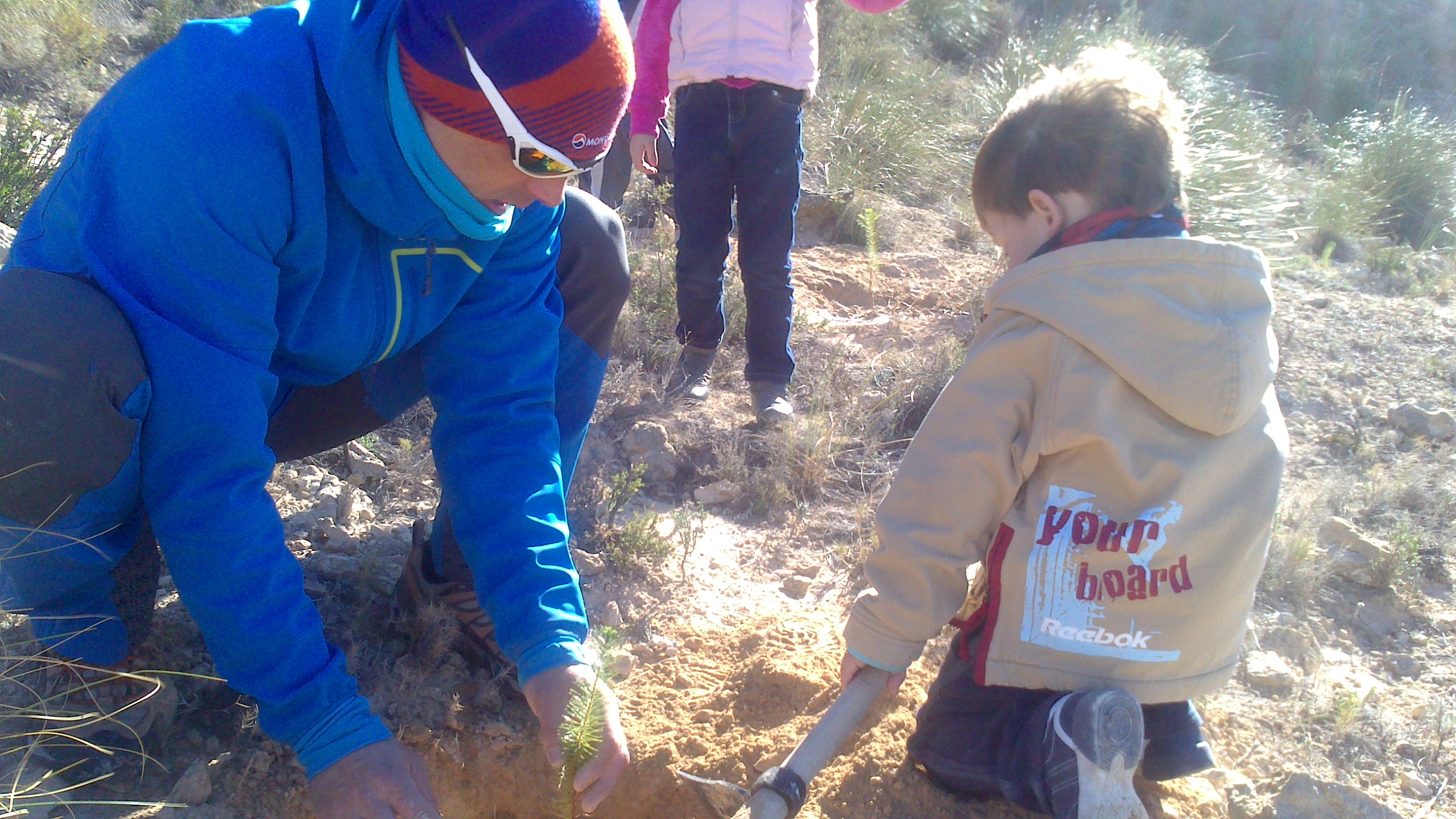 reforestando Agost jardineros en Alicante